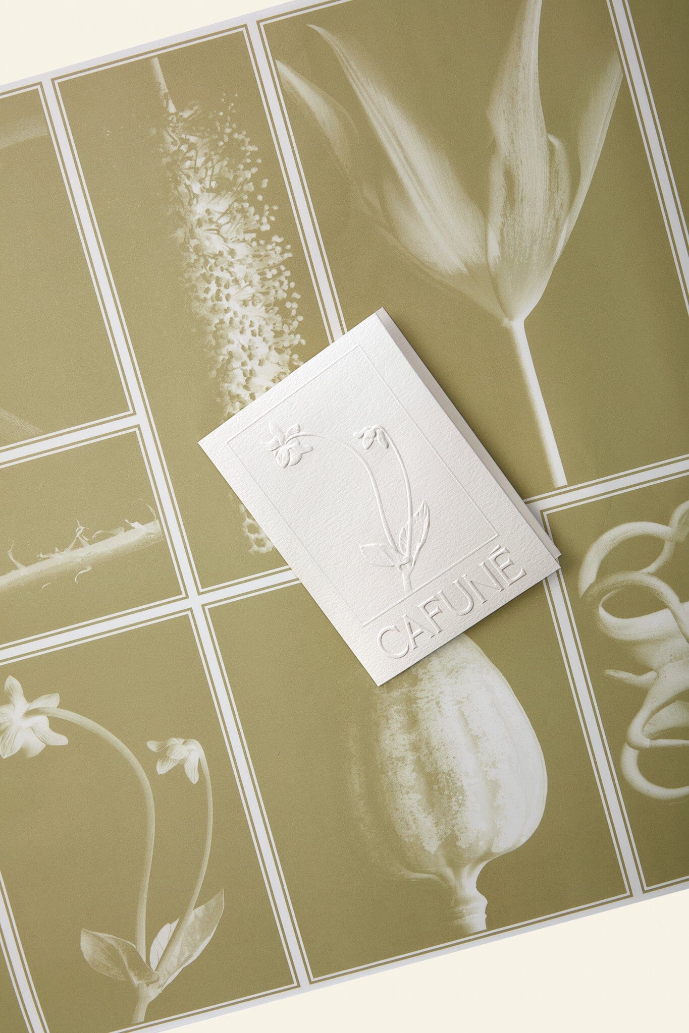 GIFT-WRAPPING - Image 4